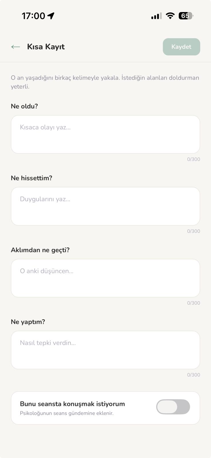 BDT kısa kayıt ekranı